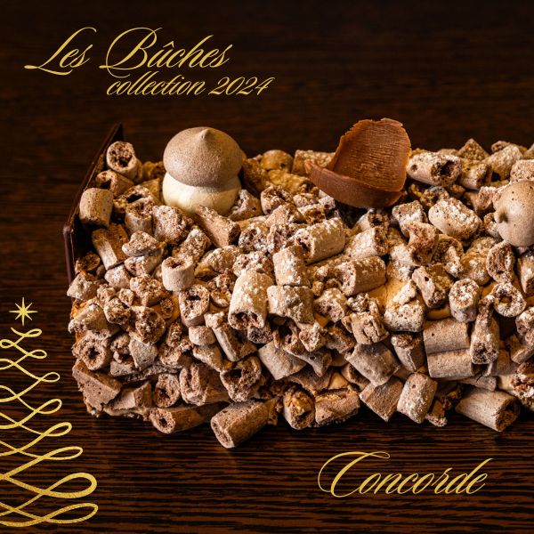 Bûche Concorde